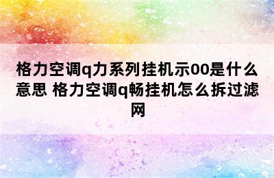 格力空调q力系列挂机示00是什么意思 格力空调q畅挂机怎么拆过滤网